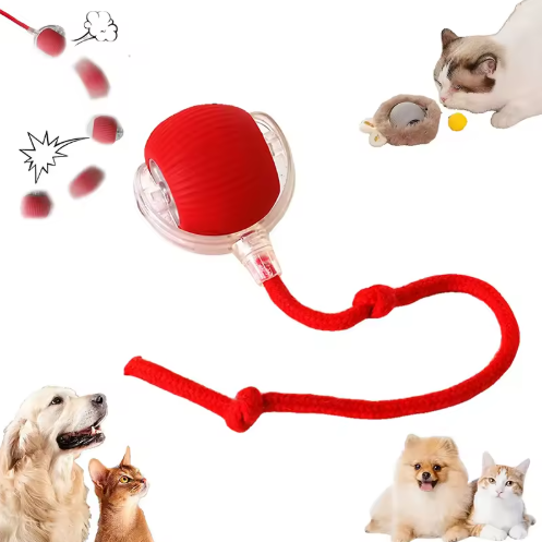 Pelotas Interactivas Para Gatos